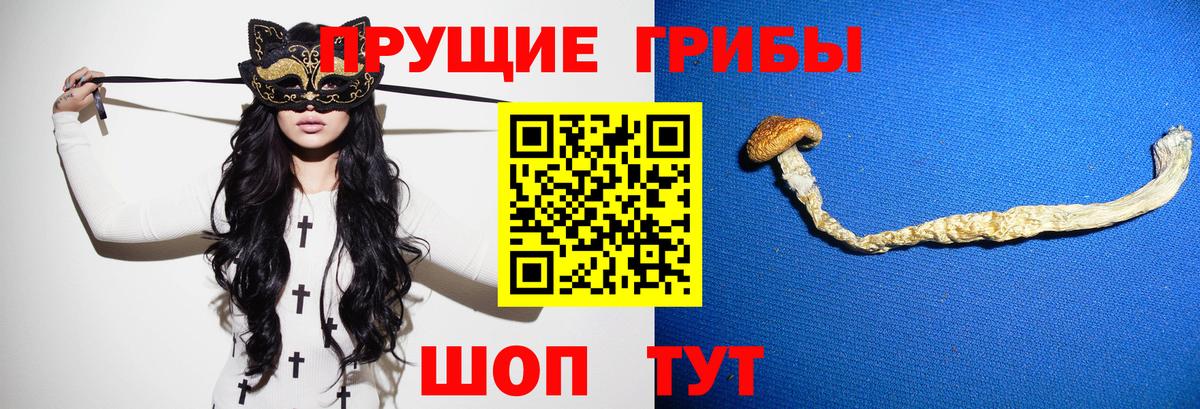 Псилоцибиновые грибы GOLDEN TEACHER Волжский