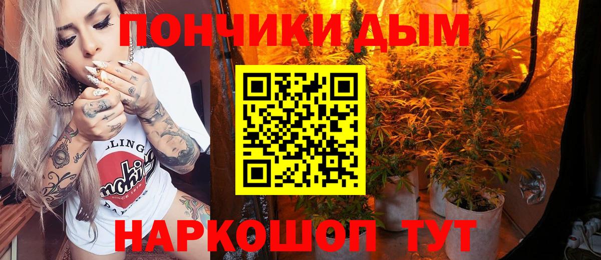 Канабис планчик Волжский